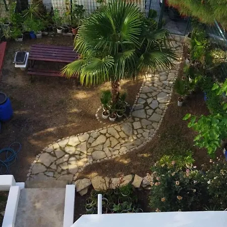 Merkezde Sirin Aile Evi *